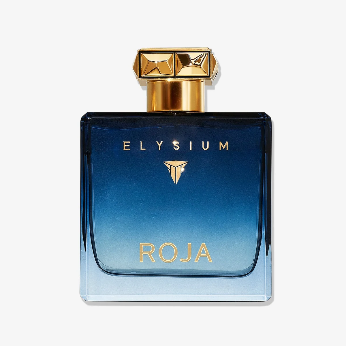 Roja Elysium Pour Homme Eau de Parfum 100 ml — frasco